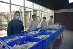 戰(zhàn)疫故事:把菜市場搬進(jìn)食堂 解決員工后顧之憂